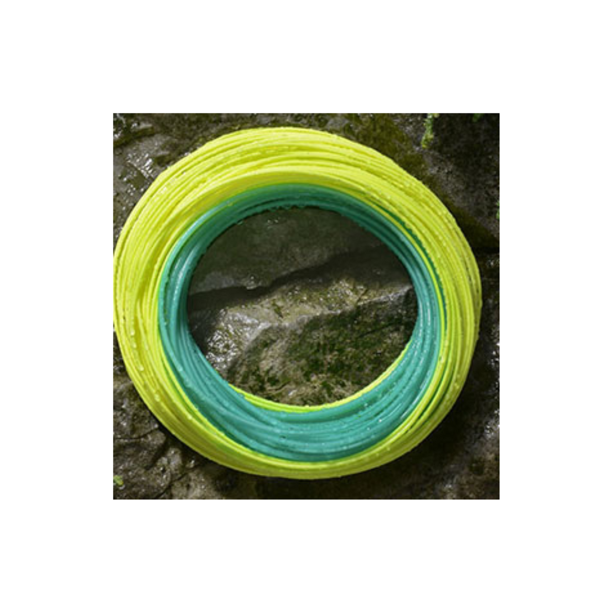 Royal Wulff Triangle Taper Floating Trout Fly Fishing Line
