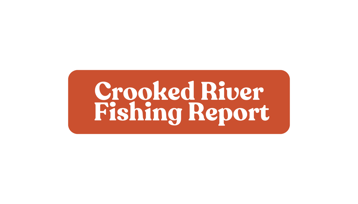 Crooked River Update January 17th, 2025 – Fly and Field Outfitters