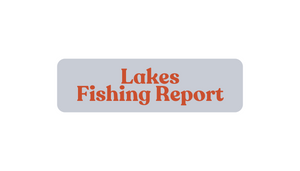 Lakes Update November 15th, 2024