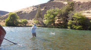 Lower Deschutes Dog Days