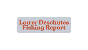 Lower Deschutes Update November 29th, 2024