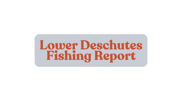 Lower Deschutes Update November 15th, 2024