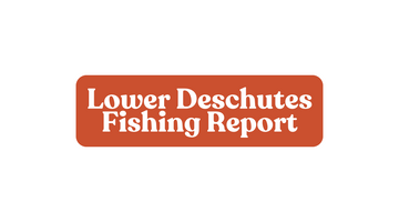 Lower Deschutes Update October 4th, 2024