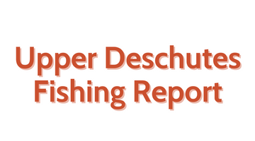 Upper Deschutes Update August 5, 2022