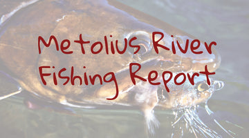 Metolius Update