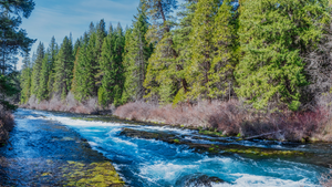 Metolius River Report 5/21/21