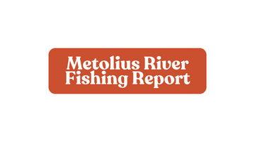 Metolius River Update December 20th, 2024