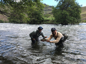 Lower Deschutes Update