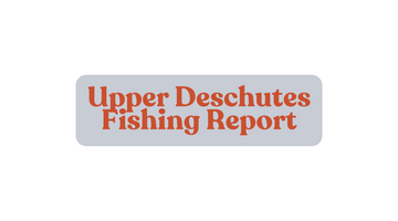 Upper Deschutes Update September 13th, 2024