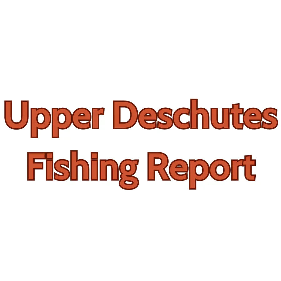 Upper Deschutes Update July 19, 2024 – Fly and Field Outfitters