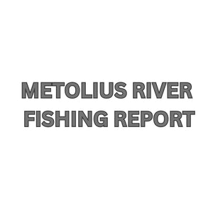 Metolius River Update November 17, 2023