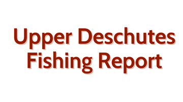 Upper Deschutes Update July 1st, 2022