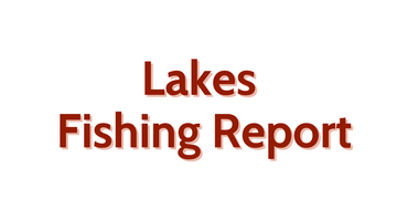 Lakes Update July 1st, 2022